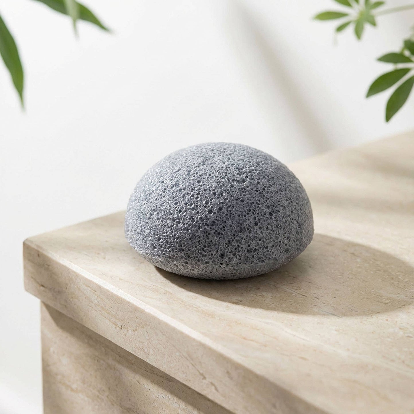 Natural Konjac Facial Cleansing Sponge | Faire Market