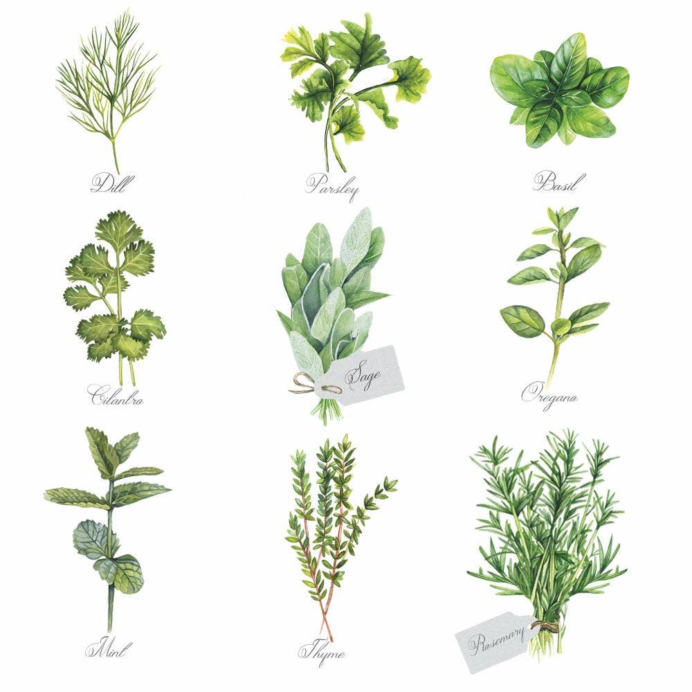 BEV-HERB SELECTION BY AMBIENTE